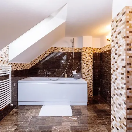 Ole Apartment - Luxury Residence Timisoara شقة تيميشورا