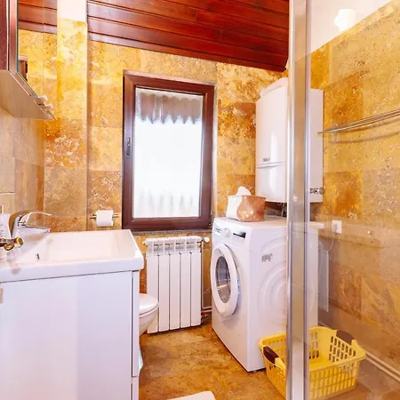 Ole Apartment - Luxury Residence Timisoara شقة تيميشورا