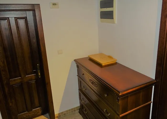 Ole - Private Luxury Residence For An Unforgettable Experience Timişoara