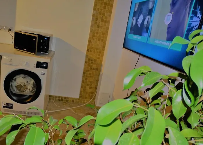 Ole - Private Luxury Residence For An Unforgettable Experience Apartman Temesvár