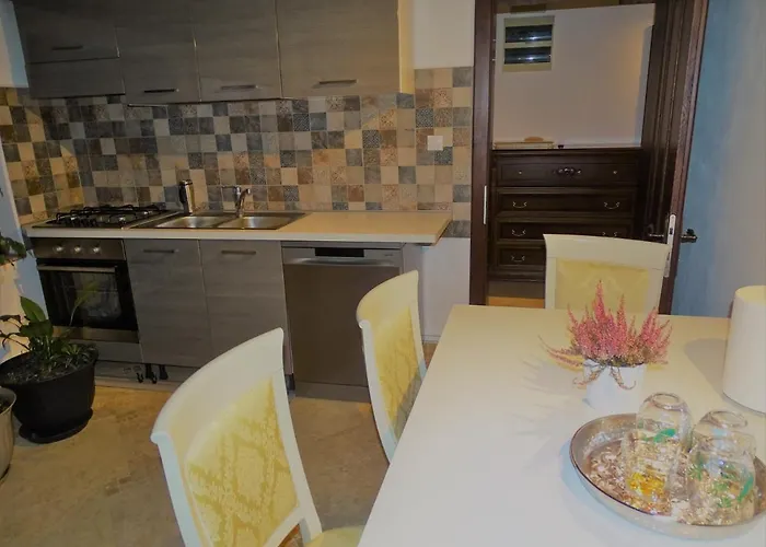 Ole - Private Luxury Residence For An Unforgettable Experience * Temesvár