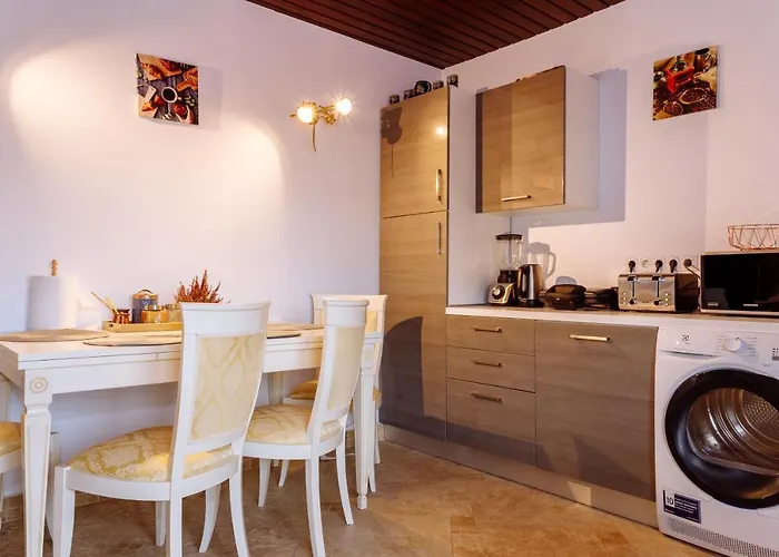 Ole - Private Luxury Residence For An Unforgettable Experience * Temesvár